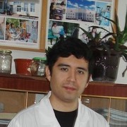 ���������� �������, ���� ������� ������, 44 ����, ������������ ��� ������, ����� � ���������, c�������� ���������