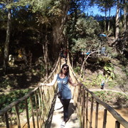   ,   , 42 ,   ,   , c 