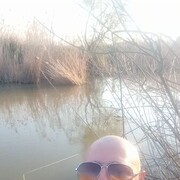 ���������� ��������-��-������, ���� ������� ���������, 38 ���, ������������ ��� ������, ����� � ���������