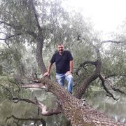  ,   , 50 ,   ,   