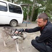  Ostrow Mazowiecka,  , 39