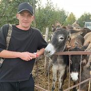 ���������� �����������, ���� ������� ������, 35 ���, ������������ ��� ������, ����� � ���������