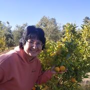  ,   Alisa, 52 ,     , c 