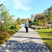 ���������� ������, ���� ������� ������, 59 ���, ������������ ��� ������, ����� � ���������