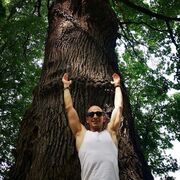  ,   Dimon, 43 ,   ,   , 