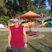 ,   , 55 ,  