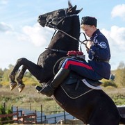 ���������� �������, ���� ������� �������, 33 ����, ������������ ��� ������, ����� � ���������, c�������� ���������