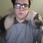 ���������� ������, ���� ������� �������, 26 ���, ������������ ��� ������, ����� � ���������, ���������