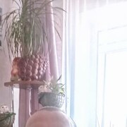  ,  , 49