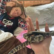 ���������� �����-���������, ���� ������� ��������, 23 ����, ������������ ��� ������, ���������