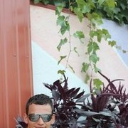  ,   , 37 ,   ,   , c 