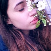  ,  , 28