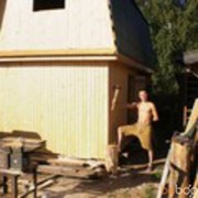 ���������� �����, ���� ������� ���, 44 ����, ������������ ��� ����� � ���������, c�������� ���������