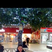 ���������� ��������, ���� ������� ������, 32 ����, ������������ ��� ������, ����� � ���������, c�������� ���������, ���������