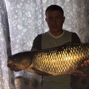 ���������� ������, ���� ������� ������, 39 ���, ������������ ��� ������, ����� � ���������