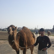  ,   , 27 ,   ,   , c , 