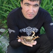 ���������� ����, ���� ������� �����, 45 ���, ������������ ��� ������, ����� � ���������