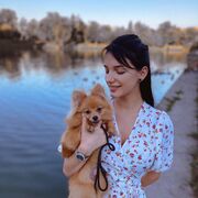 ���������� �������, ������� ����, 25