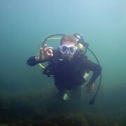 ���������� ������, ���� ������� �������, 38 ���, ������������ ��� ������, ����� � ���������, c�������� ���������