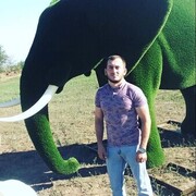 ���������� �����������, ���� ������� ������, 28 ���, ������������ ��� ������, ����� � ���������, c�������� ���������