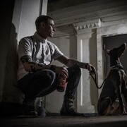 ���������� �����, ���� ������� �������, 41 ���, ������������ ��� ������, ����� � ���������