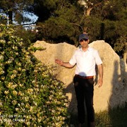  ,   Famil, 51 ,   
