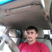 ���������� ���������, ���� ������� �����, 38 ���, ������������ 