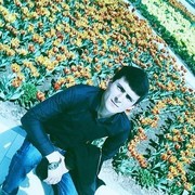  ,   , 28 ,  