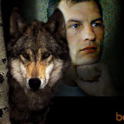 ���������� ������, ���� ������� �����, 53 ����, ������������ ��� ������, ����� � ���������, c�������� ���������