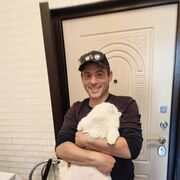 ���������� ��������, ���� ������� ����, 38 ���, ������������ ��� ������, ����� � ���������