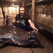 ���������� �������������-����������, ���� ������� ����, 40 ���, ������������ 