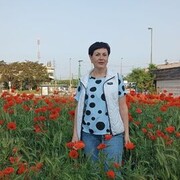  ,  , 56