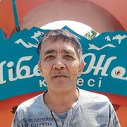  ,   , 51 ,  