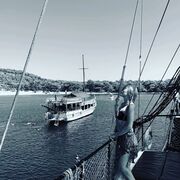 ���������� ������, ���� ������� �����, 36 ���, ������������ ��� ������, ����� � ���������, c�������� ���������