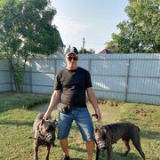 ���������� ���������, ���� ������� ����, 50 ���, ������������ ��� ������, ����� � ���������