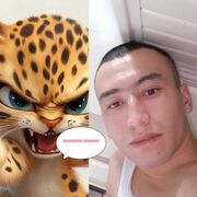   ,  , 29
