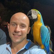 ���������� �����������, ���� ������� ��������, 37 ���, ������������ ��� ������, ����� � ���������