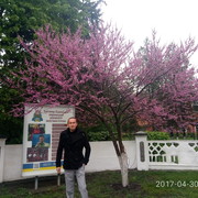  -,   , 34 ,   ,   , c 