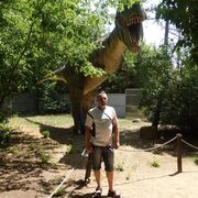 ���������� ������, ���� ������� ���������, 40 ���, ������������ ��� ������, ����� � ���������, c�������� ���������, ���������