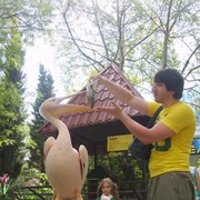 ���������� ������, ���� ������� ������, 40 ���, ������������ ��� ������, ����� � ���������, c�������� ���������