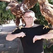  ,   , 51 ,   ,   