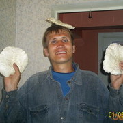 ���������� �����, ���� ������� �����, 43 ����, ������������ ��� ������