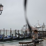 ���������� ������������, ���� ������� �������, 53 ����, ������������ 