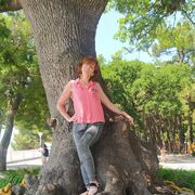 ���������� ���������, ���� ������� �������, 47 ���, ������������ ��� ������, ����� � ���������