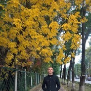  ,   , 29 ,   ,   , c 