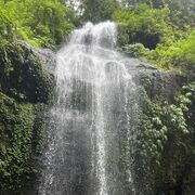 ���������� �������, ���� ������� RASIM, 31 ���, ������������ ��� ������, ����� � ���������