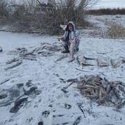 ���������� ������, ���� ������� ������, 45 ���, ������������ ��� c�������� ���������