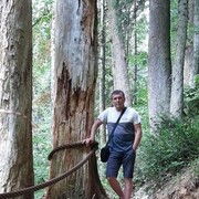  ,   , 46 ,   ,   