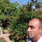  ,   , 48 ,   