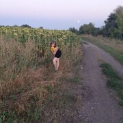  ,   , 44 ,   